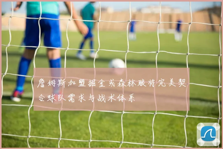 詹姆斯加盟掘金或森林狼将完美契合球队需求与战术体系