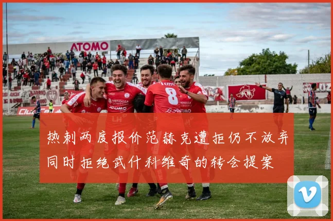 热刺两度报价范赫克遭拒仍不放弃同时拒绝武什科维奇的转会提案