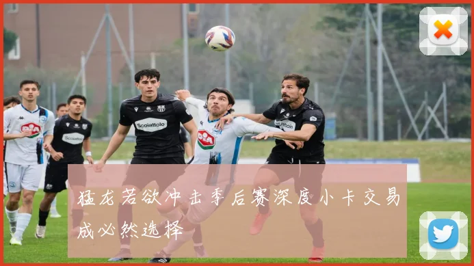 猛龙若欲冲击季后赛深度小卡交易成必然选择